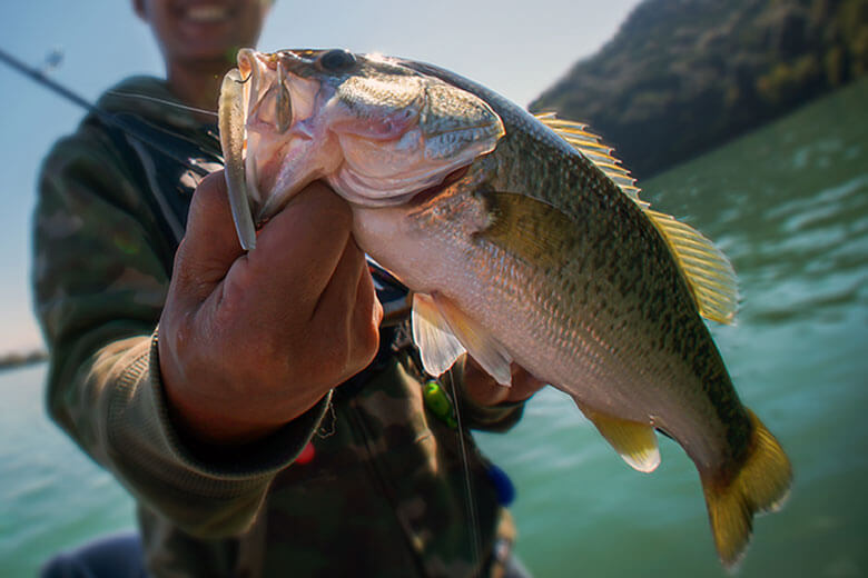 写真：バス釣り