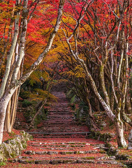 写真：長浜の雄大な自然