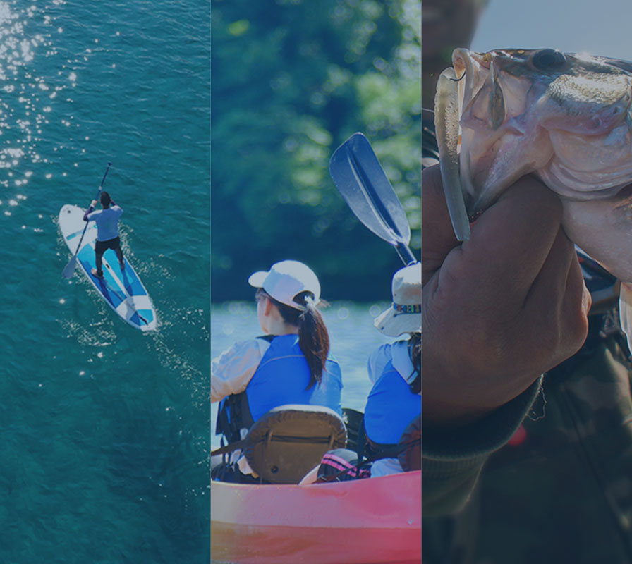 写真：アクティビティ