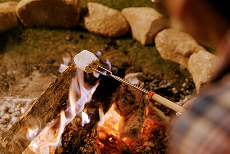 写真：施設内の様子